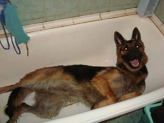 после помывки.jpg