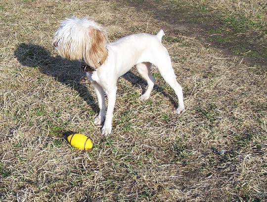 100_8654_resize.JPG
