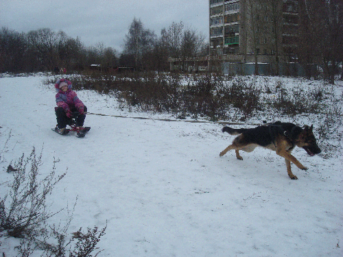 за-неимением-лайки-ездим-на.gif